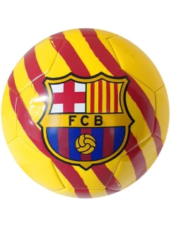 FC Barcelona fotbal model 21804232