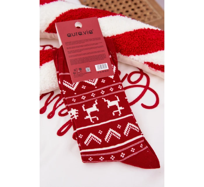 Pánské Vánoční ponožky Červený model 21786677 - Aura.via