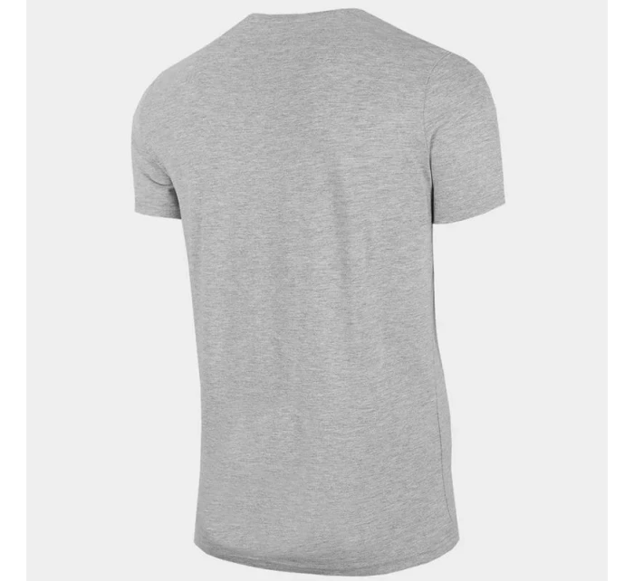 Tričko M model 17207106 27M pánské - 4F