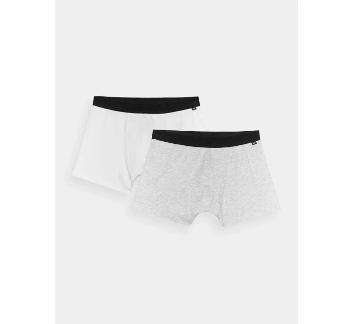 Pánske boxerky (2-pack) 4F 4FWMM00UBXSM059-90S pánske