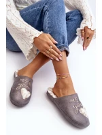 Lesklé dámské pantofle šedé model 21641364 - Boto