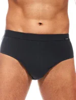 Pánske slipy AUTHENTIC 221