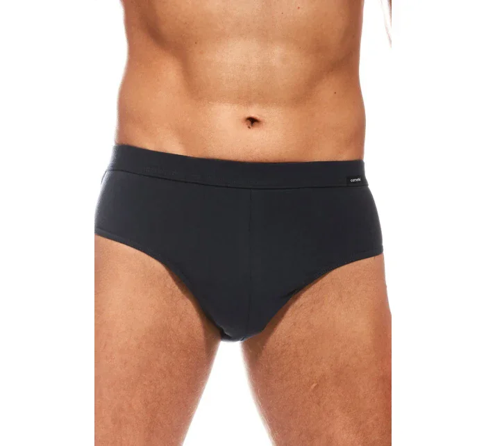 Pánske slipy AUTHENTIC 221