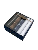 Pánské kapesníky model 20606609 A'5 - EGA