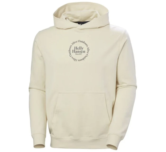 Helly Hansen Core Graphic Sweat Hoodie M 53924 034 Helly Hansen Core Graphic Sweat Hoodie M 53924 034