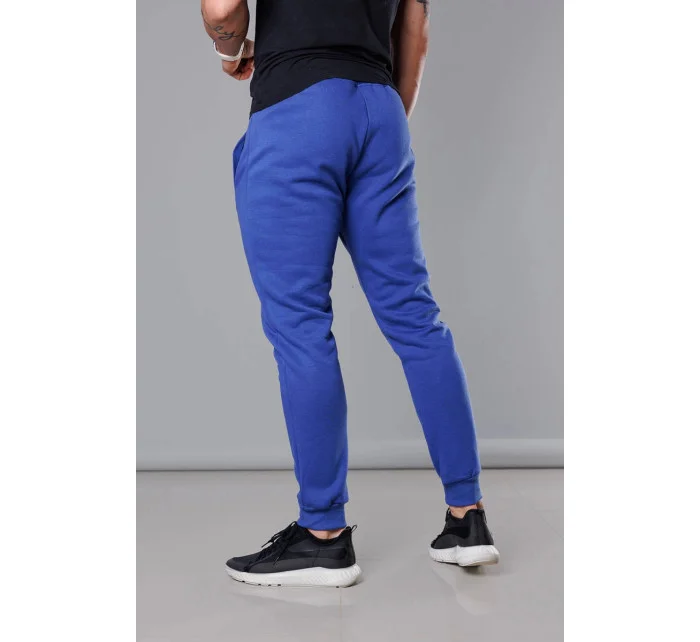 Modré pánske teplákové nohavice (68XW01-15) Modré pánske teplákové nohavice (68XW01-15)