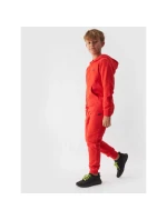 Tepláky Jr model 21466970 - 4F Tepláky Jr model 21466970 - 4F