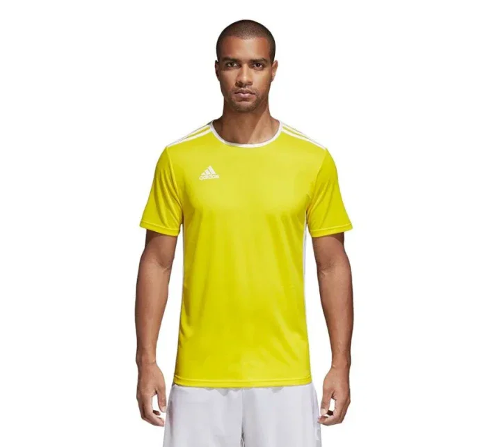 Entrada 18 unisex futbalové tričko CD8390 - Adidas