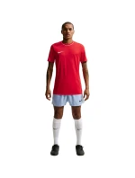 Pánske tričko Nike Dri-Fit Park 26 SS Top Red HM7127 657 Pánske