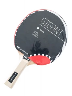 model 21909840 raketa - Martes