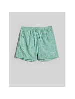 Pánské plážové šortky typu boardshorts model 22279616 - 4F