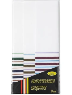 Pánské kapesníky model 21924645 A'3 - EGA