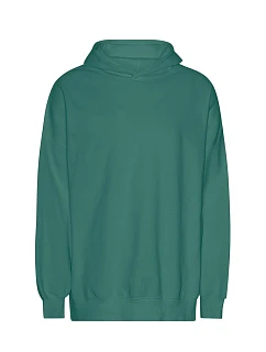 T Mikina s kapucí z těžké bio IC bavlny "Tiger" teal model 22417454 - Neutral