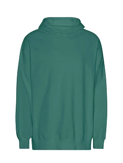 T Mikina s kapucí z těžké bio IC bavlny "Tiger" teal model 22417454 - Neutral