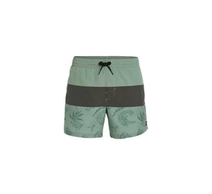 Plavecké šortky O'Neill Cali Block M model 20080408 - ONeill