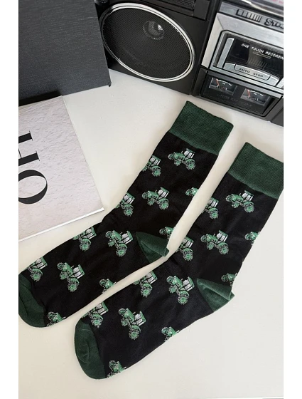 Pánské ponožky model 22066764 - Milena