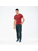Pánské kalhoty model 22279374 - IQ INTELLIGENCE QUALITY Pánské kalhoty model 22279374 - IQ INTELLIGENCE QUALITY