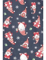 Chlapčenské pyžamo 185/138 Gnomes2 - CORNETTE Chlapčenské pyžamo 185/138 Gnomes2 - CORNETTE