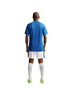 Nike Dri-Fit Park VIII Pánske tričko Blue HV8173 463 Pánske