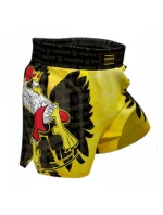 Tréninkové šortky JUNIOR model 21347272 - IRON PRO