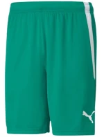 Šortky Puma teamLiga M 704924 05