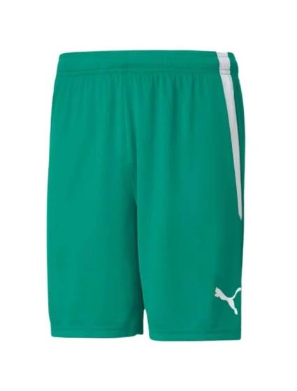 Šortky Puma teamLiga M 704924 05