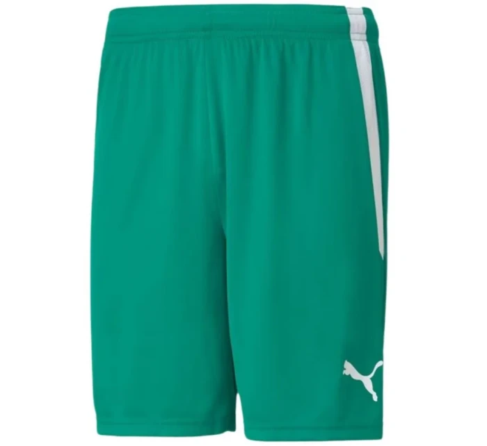 Šortky Puma teamLiga M 704924 05