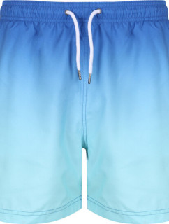 Pánske plavkové šortky Loras Swim Short 48U