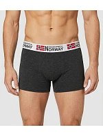 model 21427292 A'3 boxerky - Geographical Norway