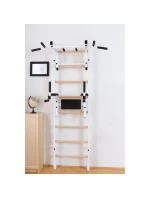 DREVENO-KOVOVÝ GYMNASTICKÝ REBRÍK S HRAZDOU A PRÍSLUŠENSTVOM BENCHK 232W