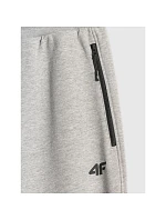 Pánské tepláky typu jogger model 22117482 - 4F