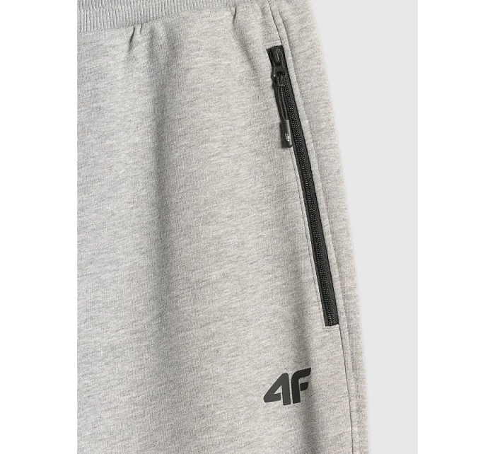 Pánske tepláky typu jogger 4F 4FRMM00TTROM2020-27M