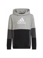 Adidas Colourblock Hoodie Jr HN8563