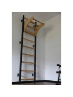 DREVENO-KOVOVÉ GYMNASTICKÉ REBRÍKY S DREVENOU TYČOU LAVIČKA 711W DREVENO-KOVOVÉ GYMNASTICKÉ REBRÍKY S DREVENOU TYČOU LAVIČKA 711W