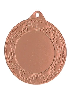 Medal brązowy ogólny z miejscem na model 21830131