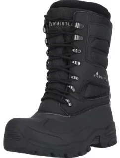 Pánske zimné snežnice Whistler Ferday