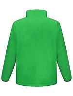 R Pánská outdoorová fleecová bunda  green model 22427956 - Result