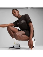 Puma Sport Graphic Tee M 684617 01 pánske tričko Puma Sport Graphic Tee M 684617 01 pánske tričko