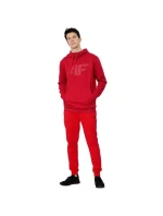 Pánská mikina M H4Z22 model 21424317 62S - 4F Pánská mikina M H4Z22 model 21424317 62S - 4F