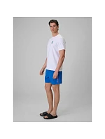 Pánske plážové šortky typu boardshorts s filtrom UPF50+ značky 4F 4FRSS26UBDSM258-36S Pánske plážové šortky typu boardshorts s filtrom UPF50+ značky 4F 4FRSS26UBDSM258-36S