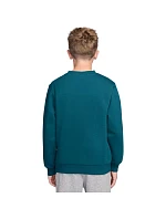 Dětská mikina Sportswear Club Fleece, zelená, model 22309909 - NIKE