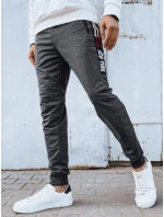 Pánské tmavě šedé tepláky model 21975778 - Dstreet