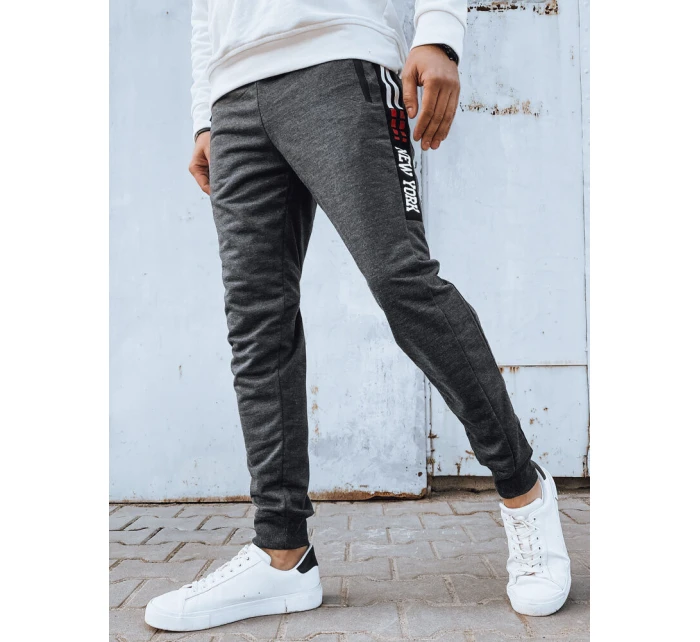 Pánské tmavě šedé tepláky model 21975778 - Dstreet