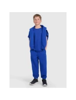 Chlapecké hladké tričko model 21756868 - 4F Chlapecké hladké tričko model 21756868 - 4F