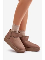 Dámské Sněhule Na Platformě model 21677079 Taupe - D.Franklin