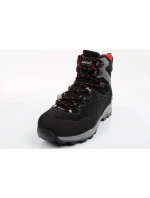 Aku Alterra II GTX M 430353 trekingová obuv
