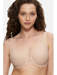Soft model 229497 Triumph