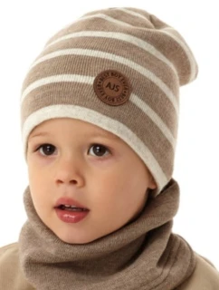 CAP model 21426769 - AJS