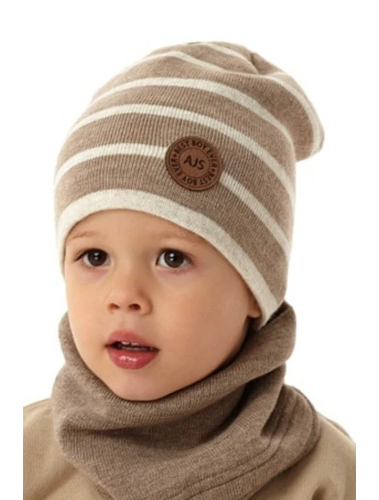 CAP model 21426769 - AJS