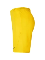 Pánské šortky Dry Park III NB K M model 15976377 719 - NIKE